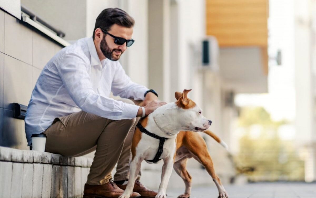 A crescente presen&ccedil;a de pets nos lares brasileiros aumenta a procura por apartamentos pet friendly (Imagem: Dusan Petkovic | Shutterstock) 