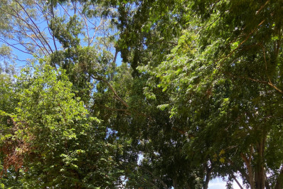 Prefeitura de Três Rios lança iniciativa para divulgar imagens da cidade enviadas pela população 