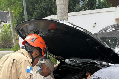 Bombeiros resgatam gato preso na roda do carro da atriz Giovanna Ewbank