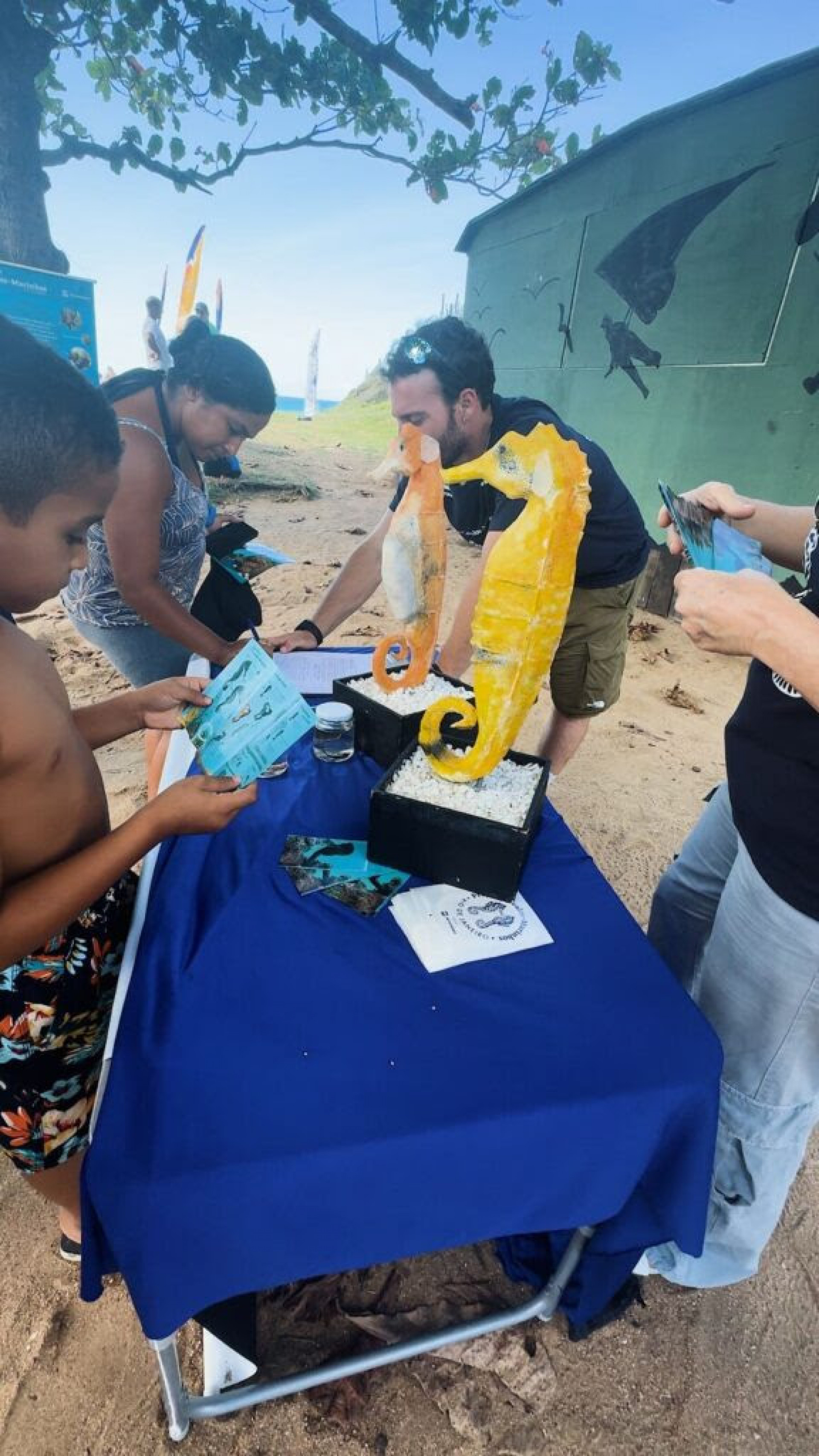 Educa&ccedil;&atilde;o ambiental do Projeto Cavalos-Marinhos - Ascom 