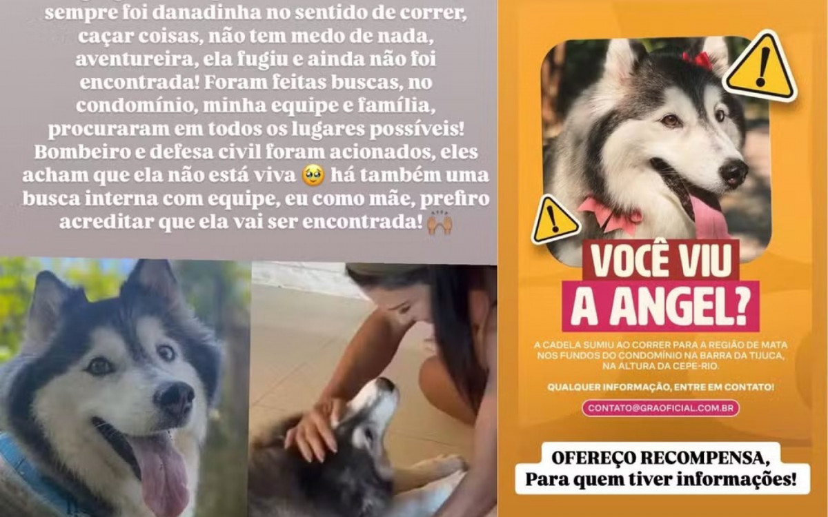 Gracyanne fala sobre sumiço de cadela - Reprodução/Instagram