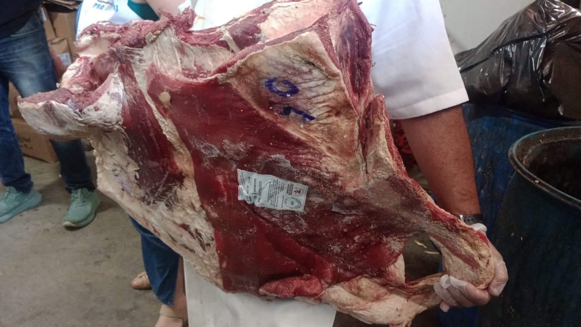 Carnes armazenadas em locais sem higiene - Divulgação / Procon-RJ