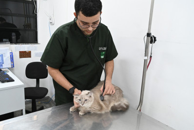Beneficiários da Moeda Arariboia podem agendar consulta veterinária nesta quinta-feira