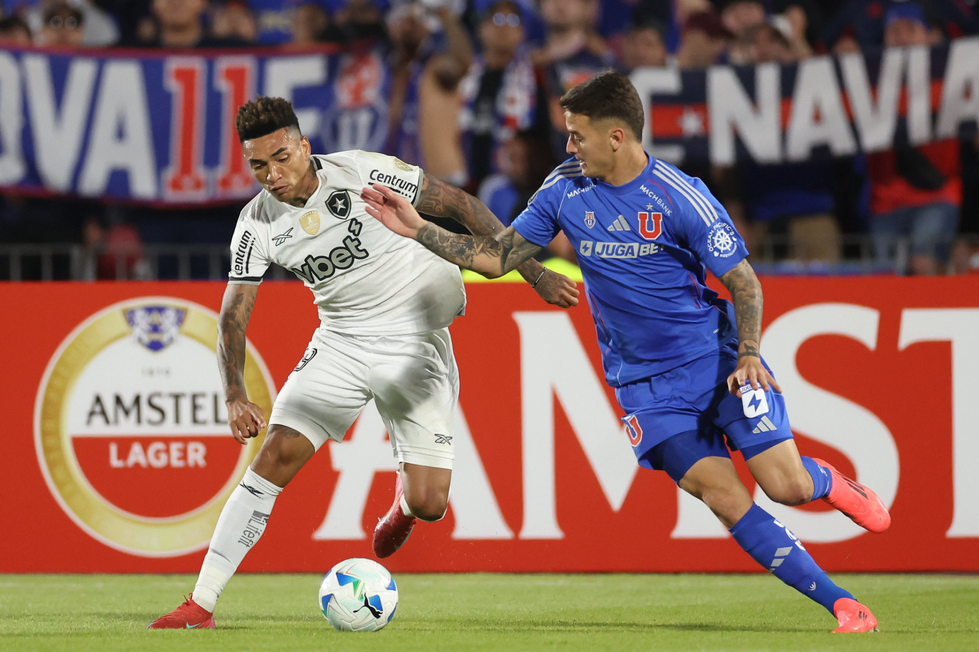 Universidad de Chile e Botafogo mediram forças em Santiago - Vítor Silva/Botafogo