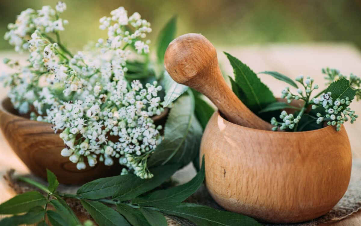 A valeriana &eacute; utilizada por seus efeitos relaxantes e calmantes (Imagem: Lipatova Maryna | Shutterstock)
