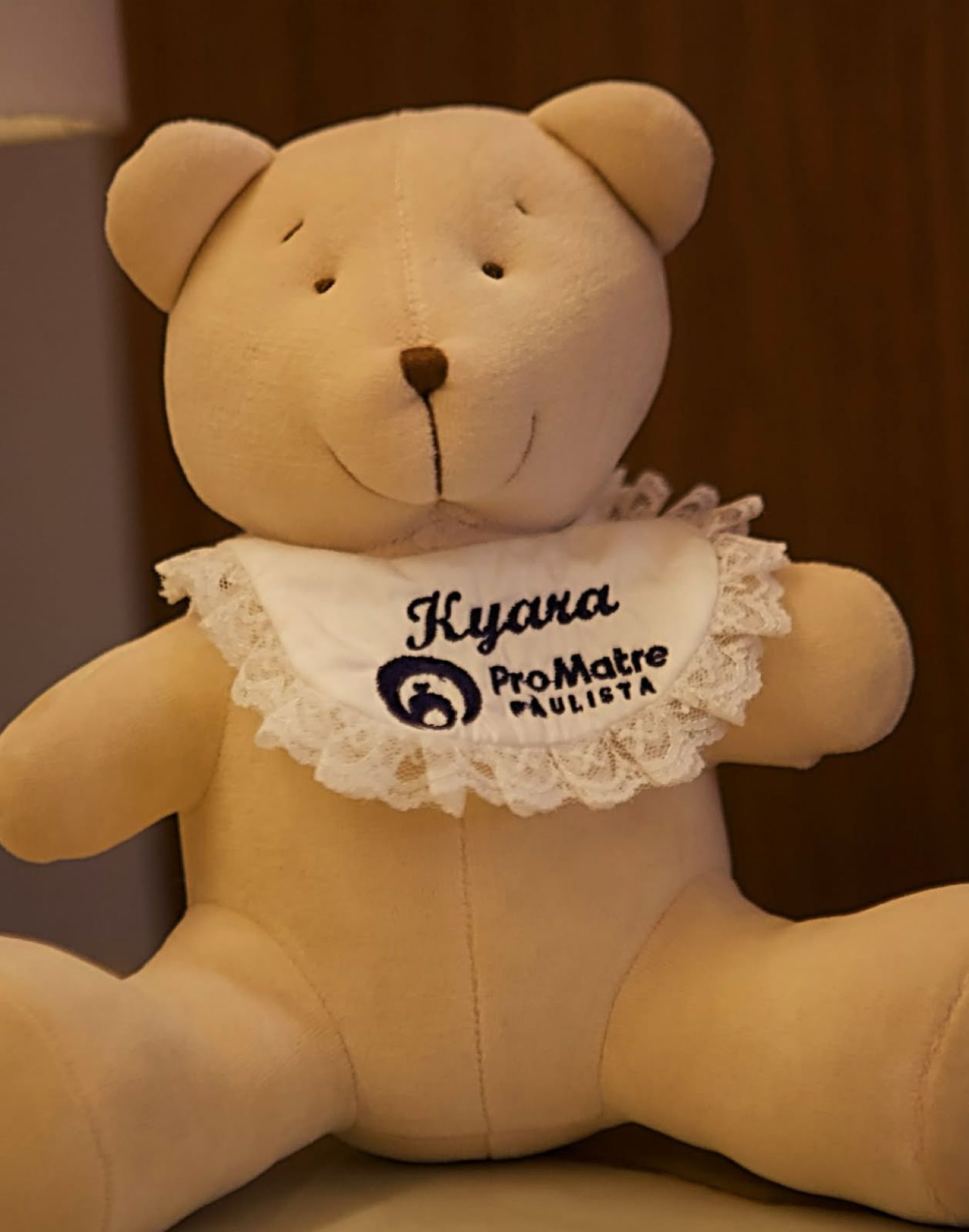 Lucy Ramos exibe registros do quarto da maternidade - Reprodução Instagram