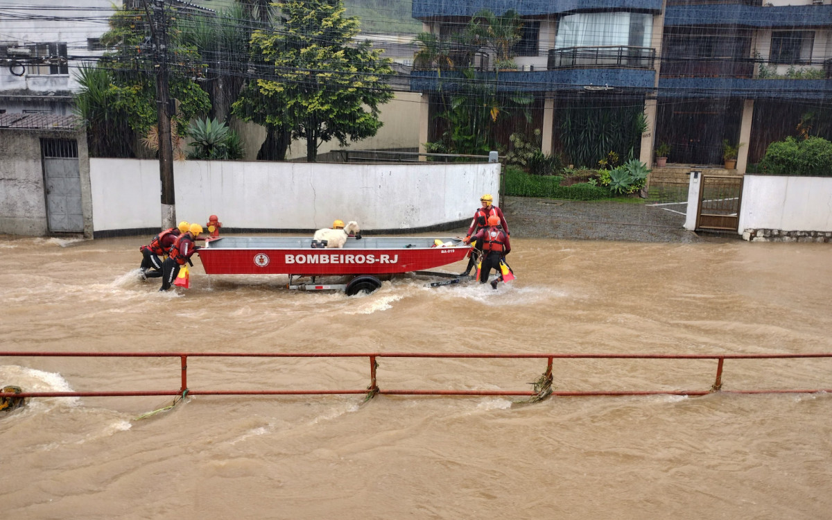 Cabra foi resgatada, examinada e devolvida ao dono