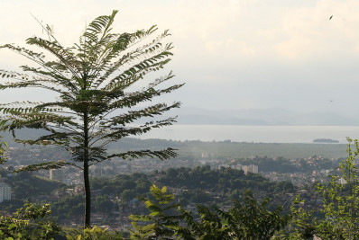 Lei que regula Fundo Municipal de Meio Ambiente é sancionada em São Gonçalo