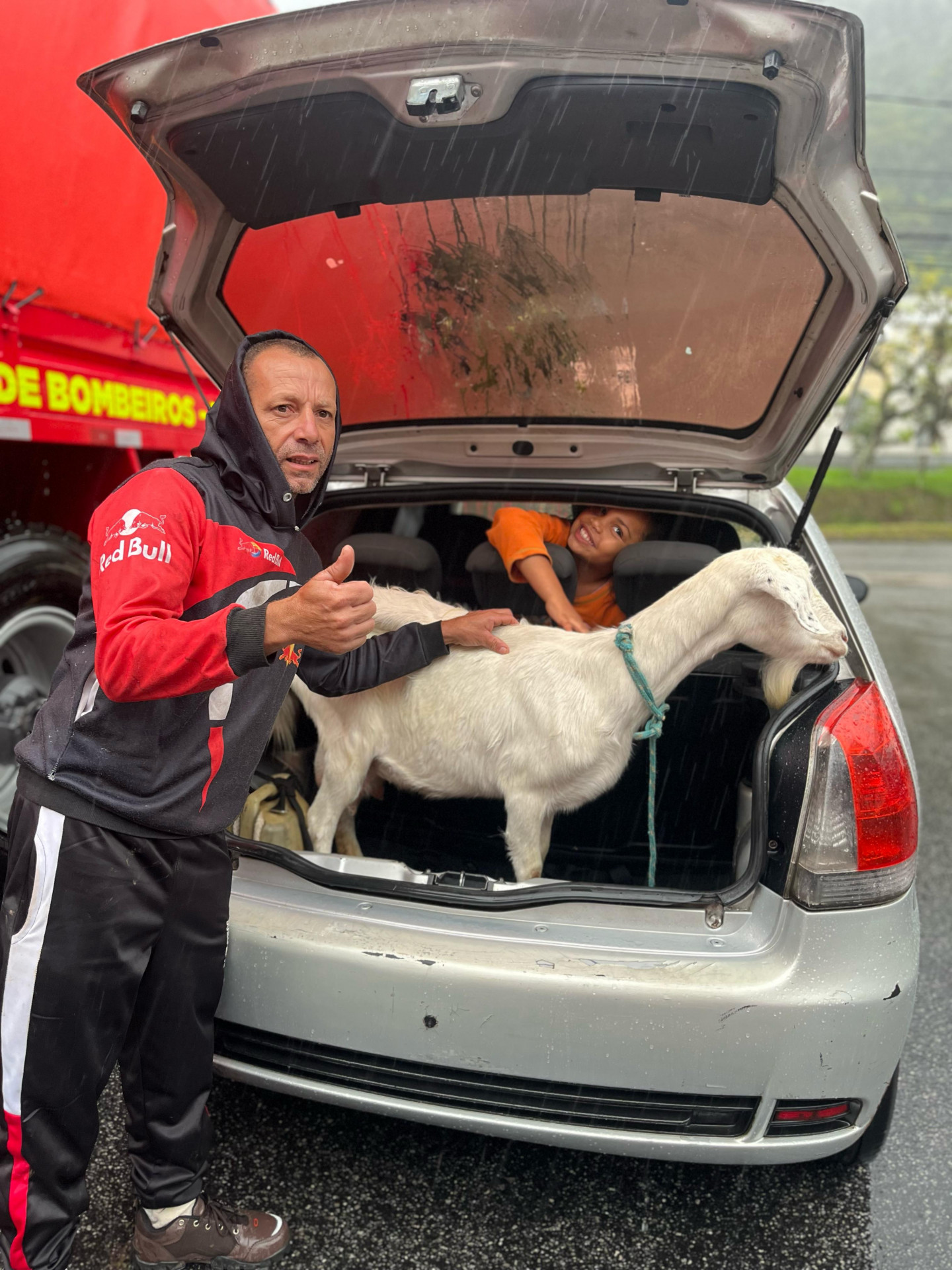 Cabra foi resgatada, examinada e devolvida ao dono