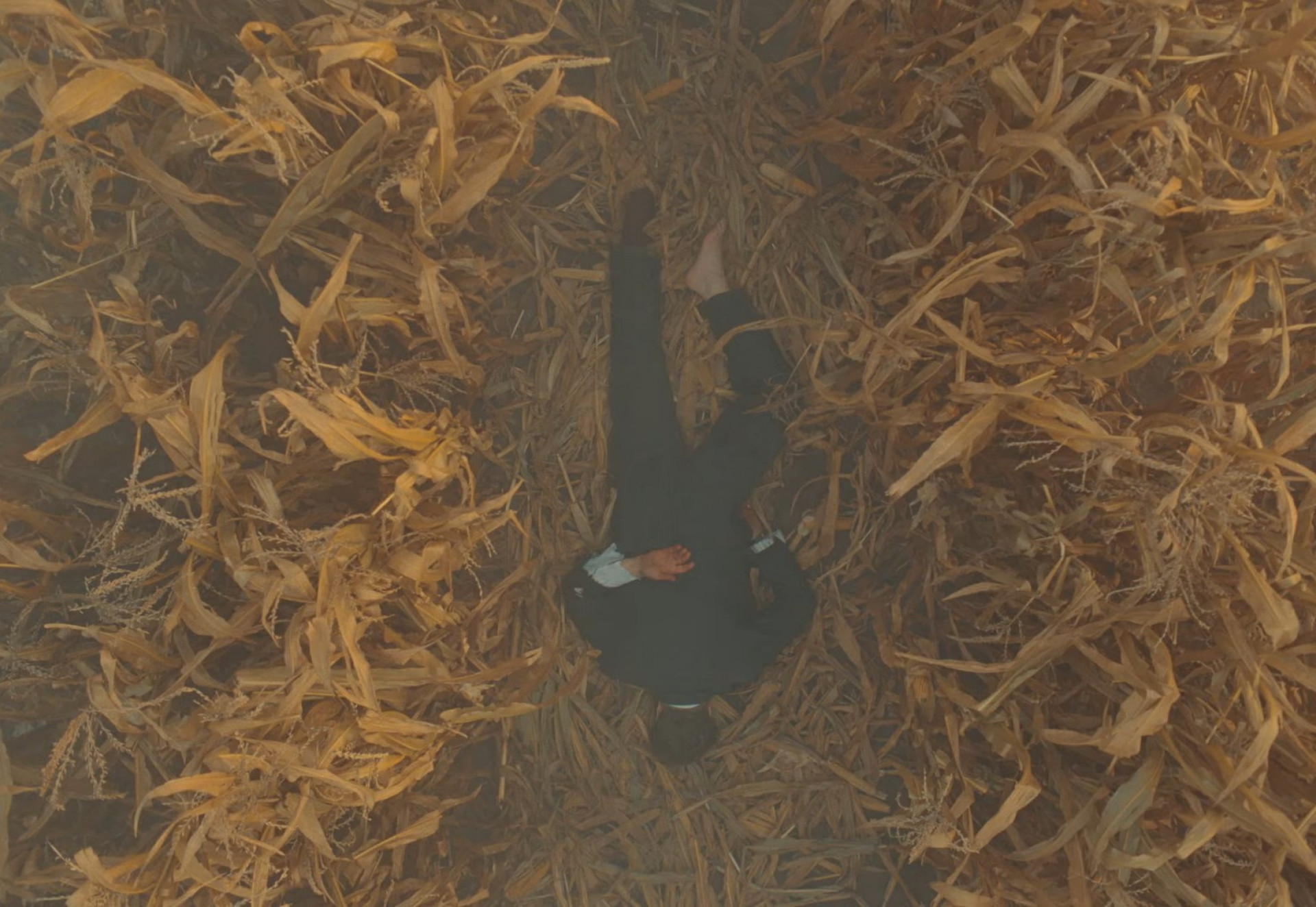 'O Esquema Fenício', de Wes Anderson, chega aos cinemas em maio - Reprodução / YouTube