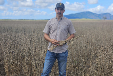 Terra da cana, Campos se torna maior produtora de soja do estado do Rio