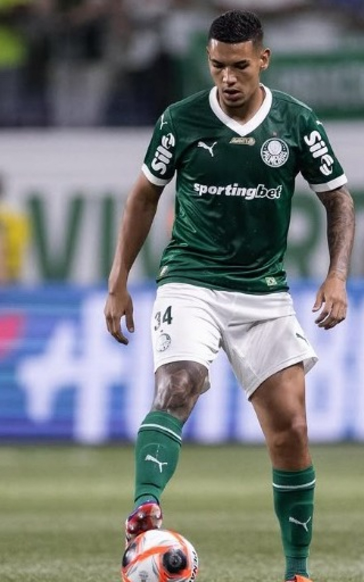 Naves em jogo pelo Palmeiras - Divulga&ccedil;&atilde;o / Palmeiras