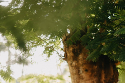 Biah Rodrigues mostra comemoração do mesversário dos filhos gêmeos