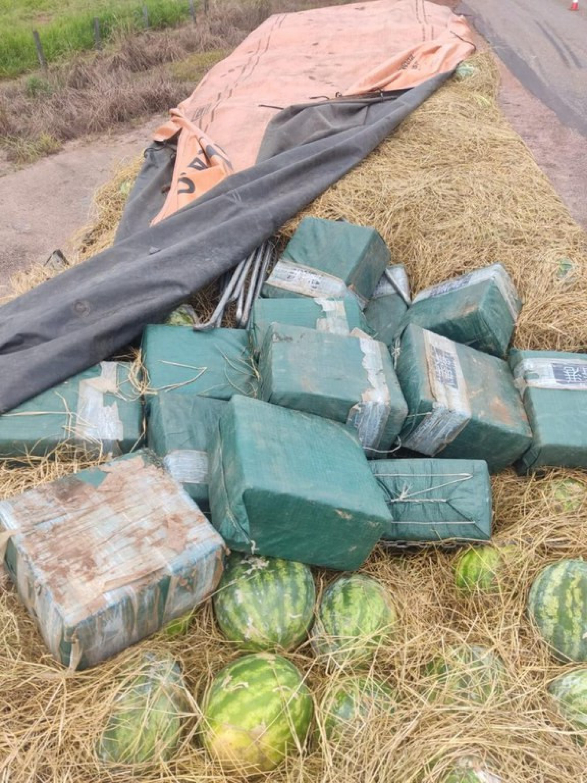 Operação apreendeu 565 kg de cocaína escondidos em caminhão - Divulgação/PF