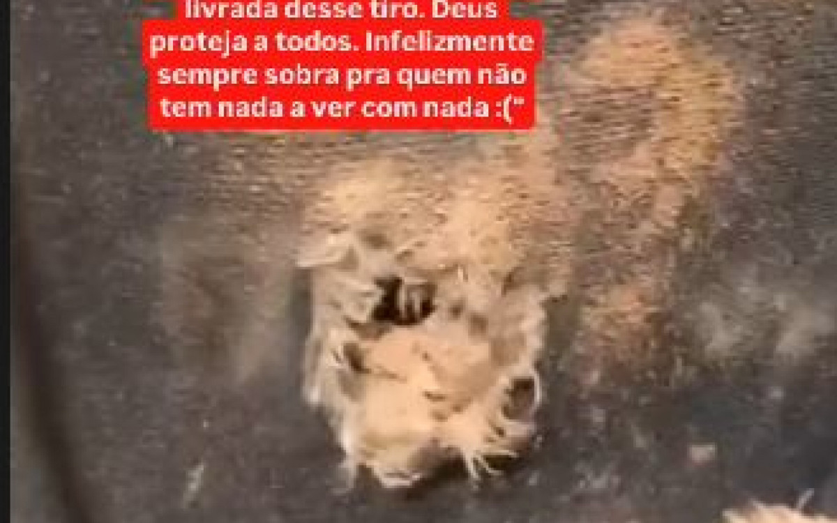 Tiro atingiu cabeceira de cama de moradora no Morro do Timbau, na Maré - Rede Social