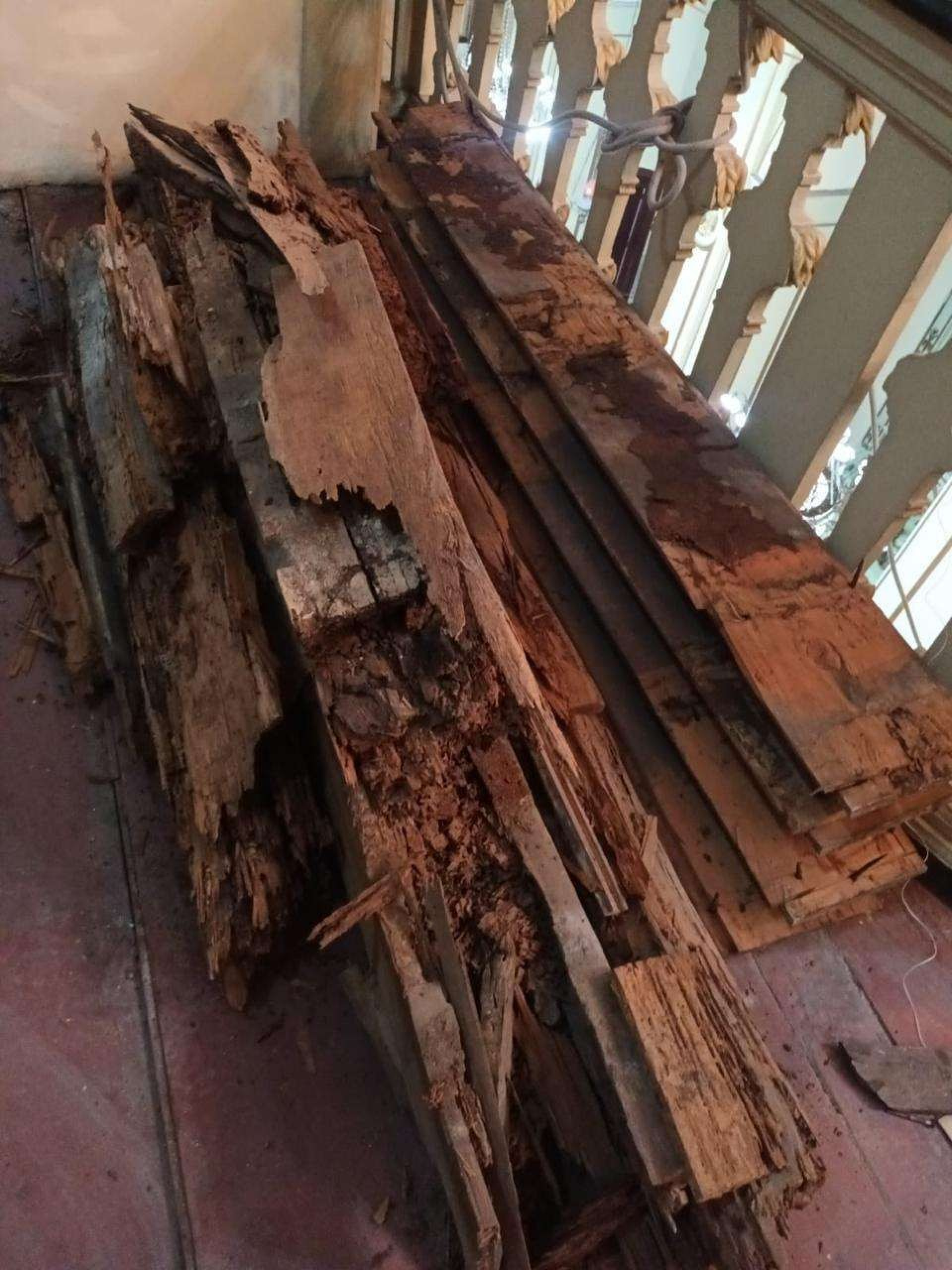 Coro está infestado de cupins  - Reprodução