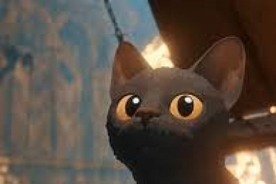 Flow impulsiona a adoção de gatos pretos