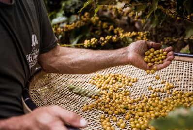 Cidade também comemora o Dia Mundial do Café