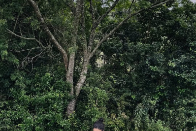 Débora Nascimento mostra registros raros da filha em aniversário