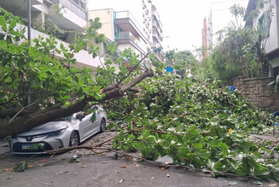 Árvore cai, atinge carro e interdita rua em Ipanema