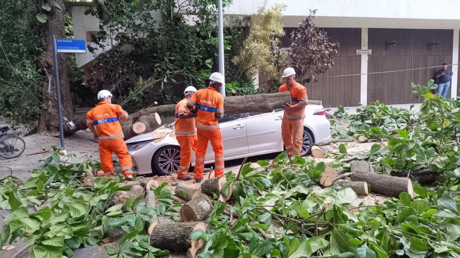 Equipe da Comlurb trabalham na remoção de árvores que caiem nas ruas da cidade - Divulgação/Comlurb