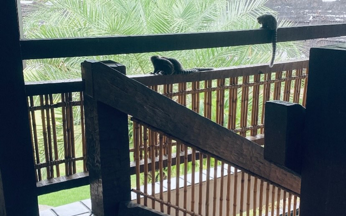 Nala, filha de Iza e Yuri Lima