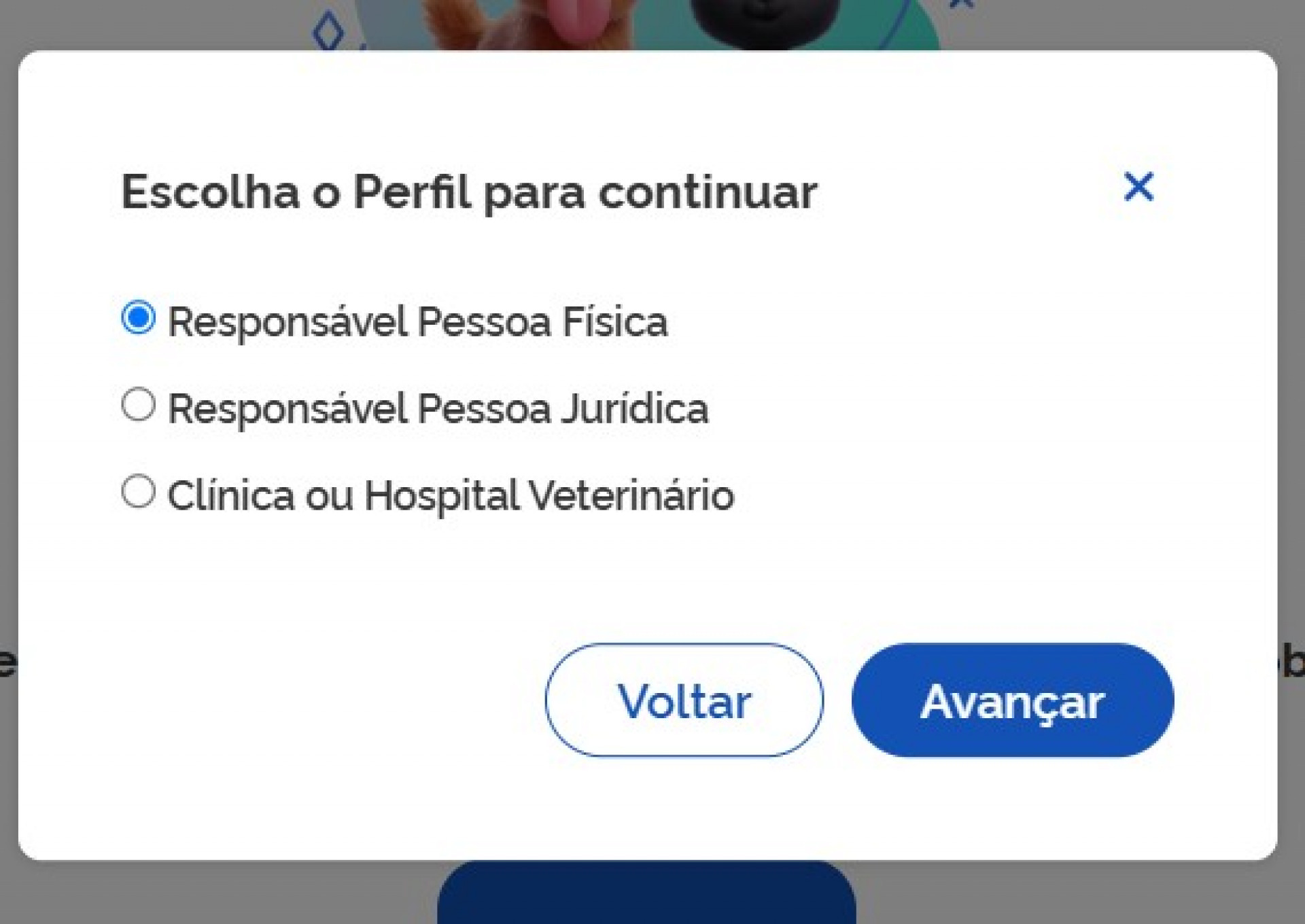 Passo a passo para cadastro de pets no SinPatinhas - Reprodução / SinPatinhas