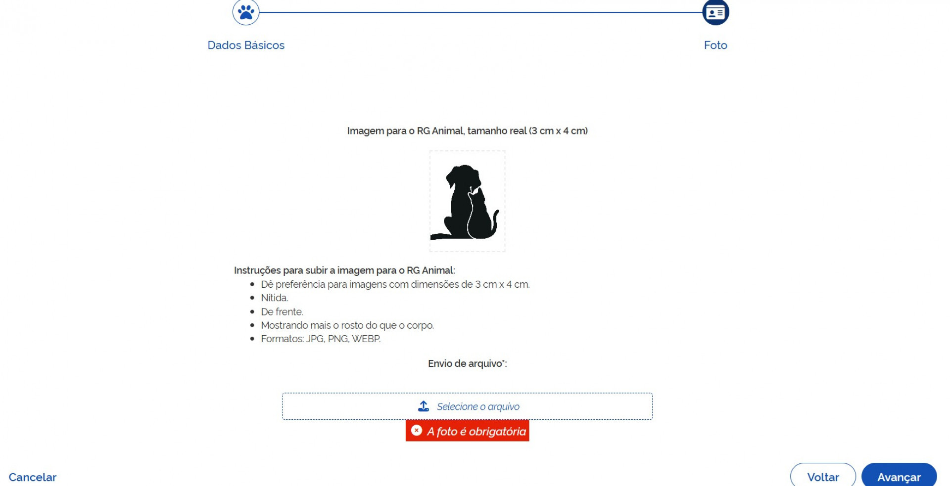 Passo a passo para cadastro de pets no SinPatinhas - Reprodução / SinPatinhas