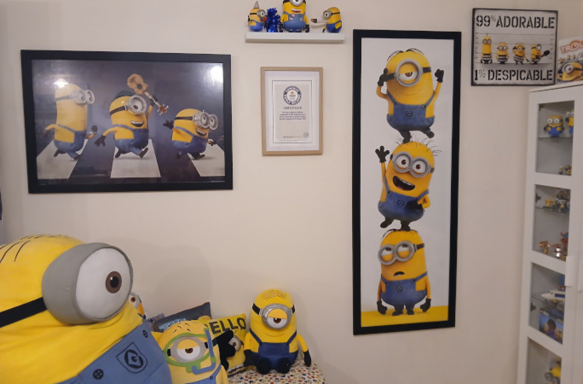 Australiana tem diversos quadros do personagem em casa - Reprodução/Guinness Book