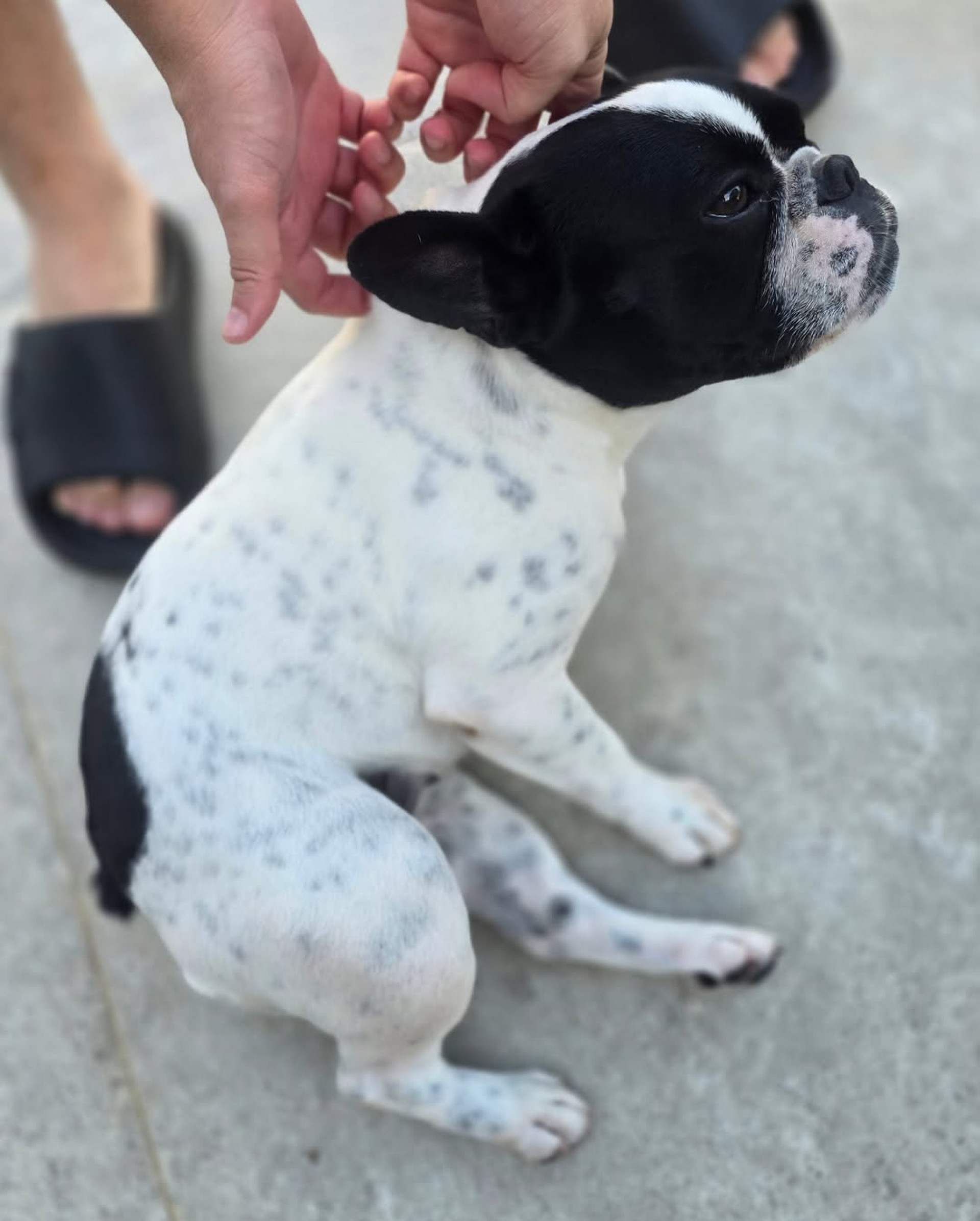 Maisa curte praia com família e amigos - Reprodução / Instagram