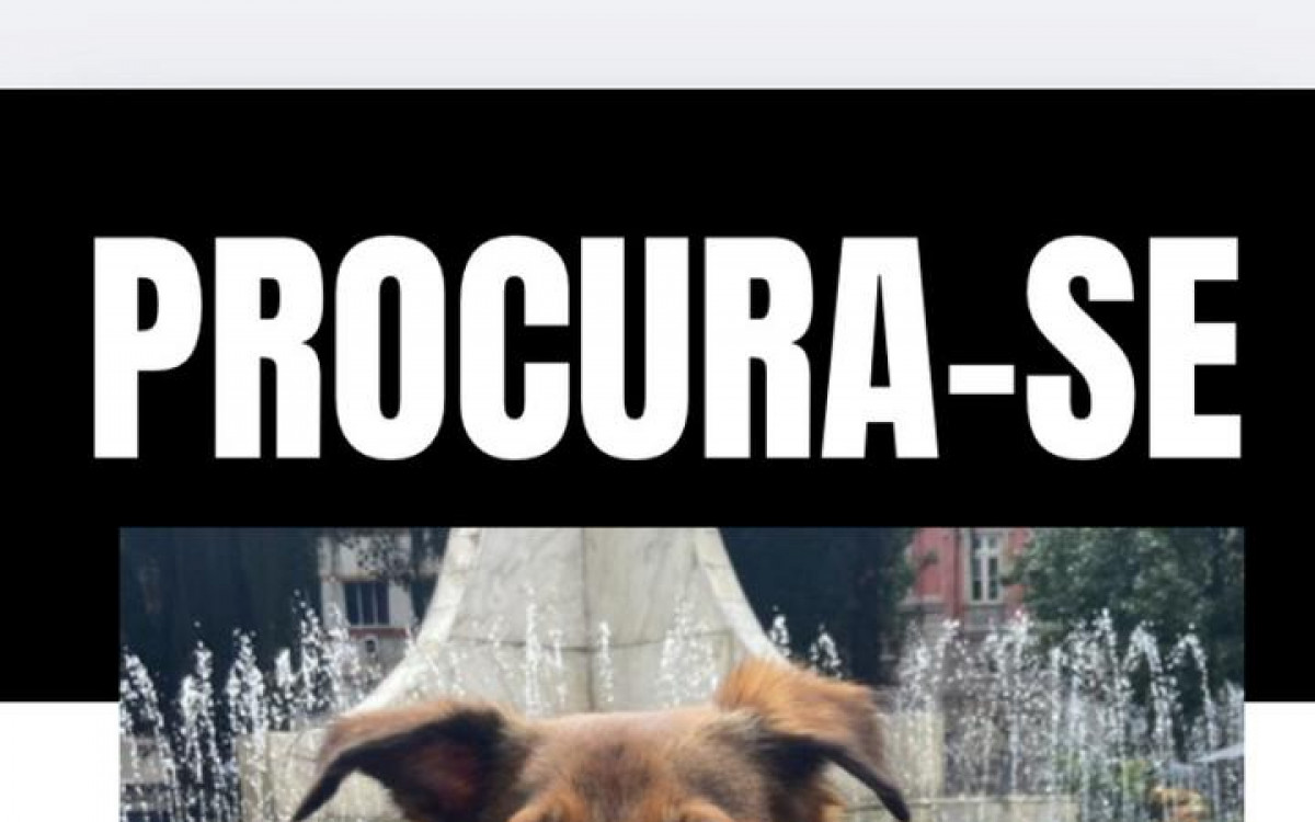 Informa&ccedil;&otilde;es sobre o paradeiro de Chiara devem ser repassadas &agrave;s tutoras, por telefone