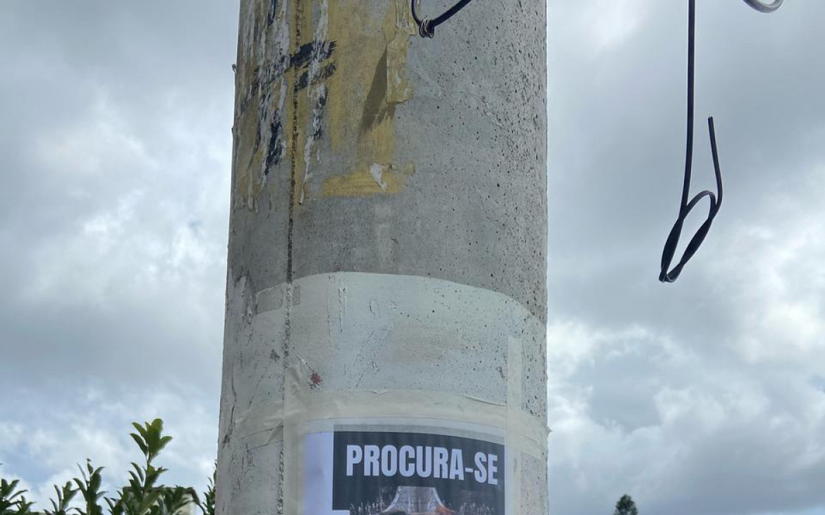 Carolina e Luciene espalharam cartazes pedindo informa&ccedil;&otilde;es sobre o paradeiro de Chiara