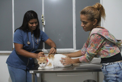 Centros veterinários de São Gonçalo oferecem vacina antirrábica