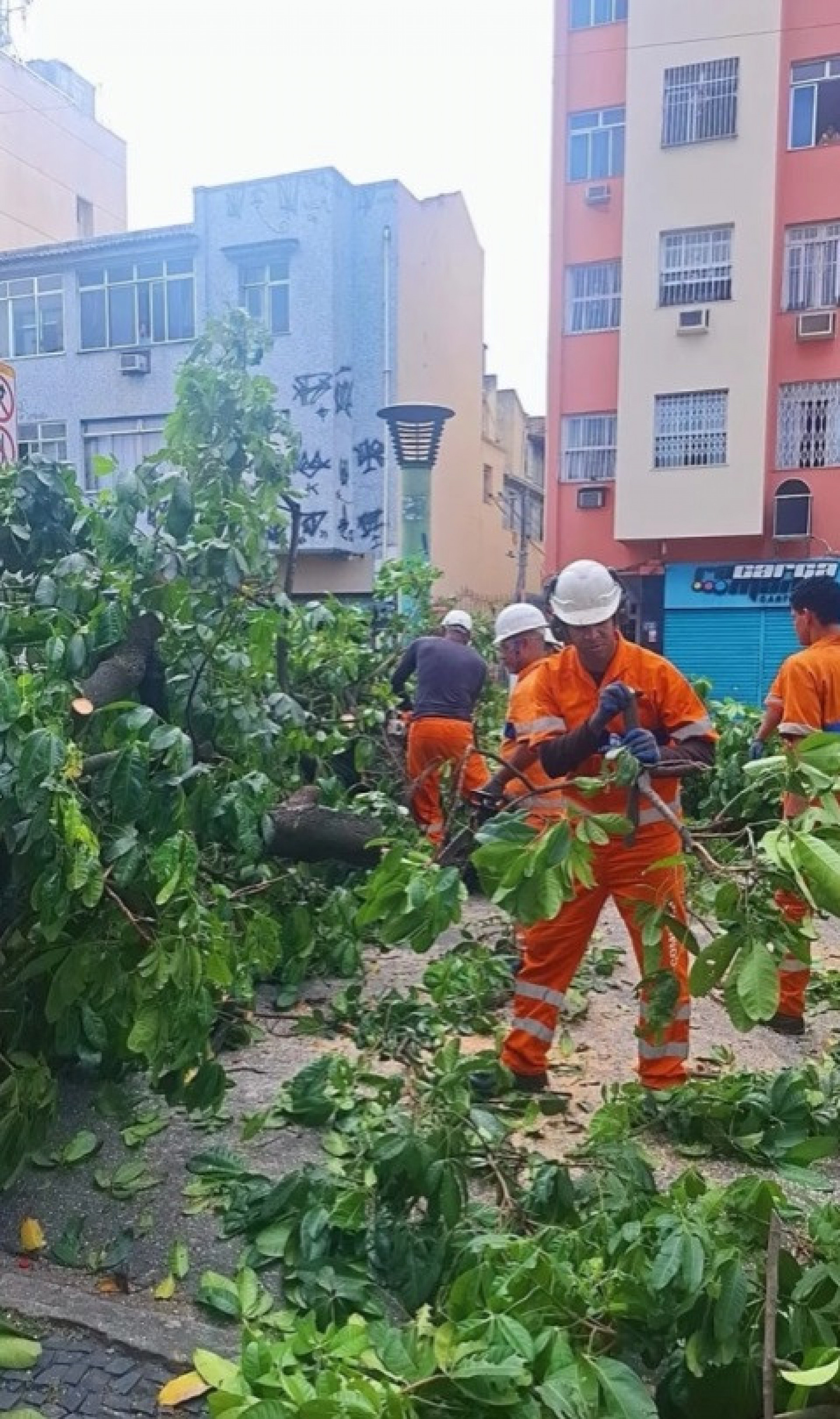 A Comlurb foi acionada para retirar o tronco e os galhos - Reprodução / Instagram