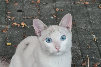 Caxias Shopping realiza 