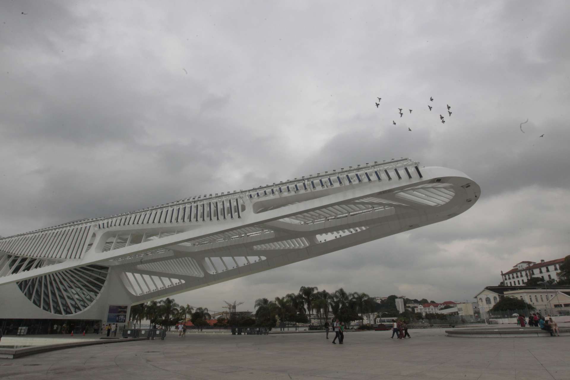 Movimentação na Praça Mauá, Centro do Rio de Janeiro, nesta sexta-feira (25) - Reginaldo Pimenta/Agência O Dia