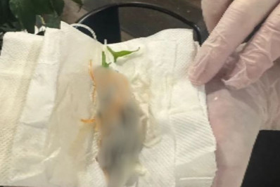 Grávida encontra rato em salada de restaurante na Austrália: 'Revoltante e inaceitável'