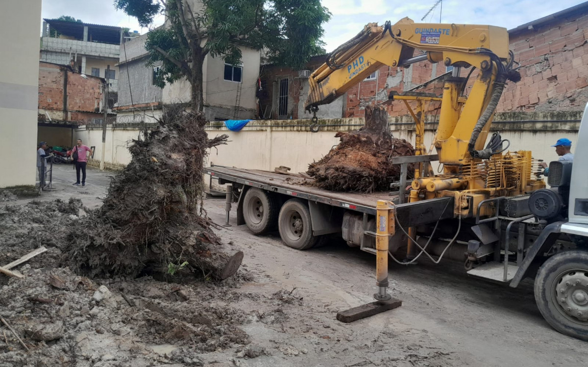 Retirada de raizes de árvores esteve entre as muitas ações realizadas no final de semana
