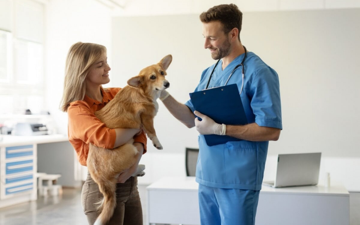 A primeira consulta veterin&aacute;ria &eacute; essencial para garantir o bem-estar dos animais de estima&ccedil;&atilde;o (Imagem: fast-stock | Shutterstock)