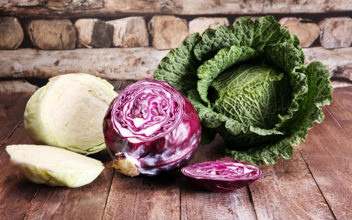O repolho &eacute; um vegetal saboroso e rico em nutrientes essenciais (Imagem: beats1 | Shutterstock)