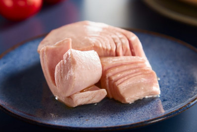 Dia Mundial do Atum: conheça os impactos incríveis desse peixe na sua rotina