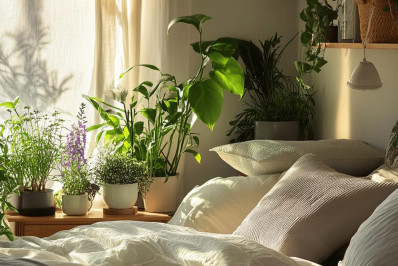 Plantas do amor: como escolher as melhores para o quarto do casal
