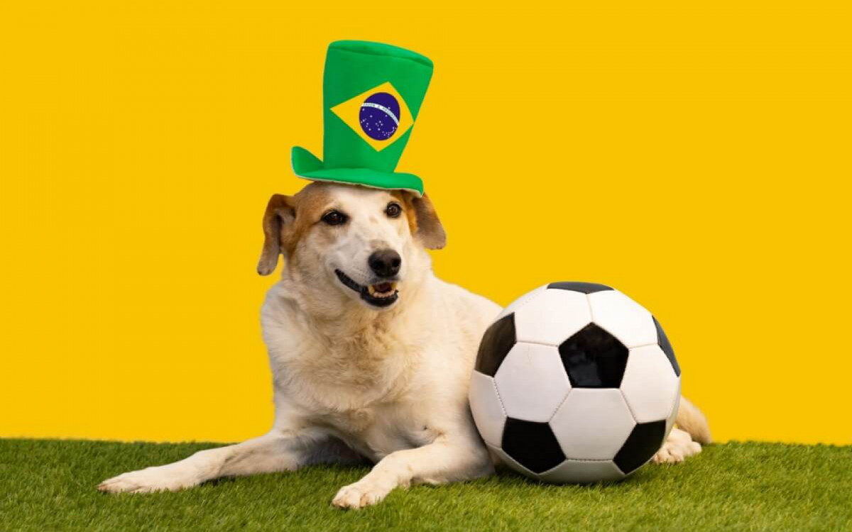 Colocar nome de jogador no seu cachorro pode ser uma forma divertida de celebrar duas paix&otilde;es: pets e futebol (Imagem: Gabriela Bertolini | Shutterstock)