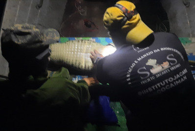 Guarda Ambiental de Saquarema inicia projeto com Instituto Jacaré