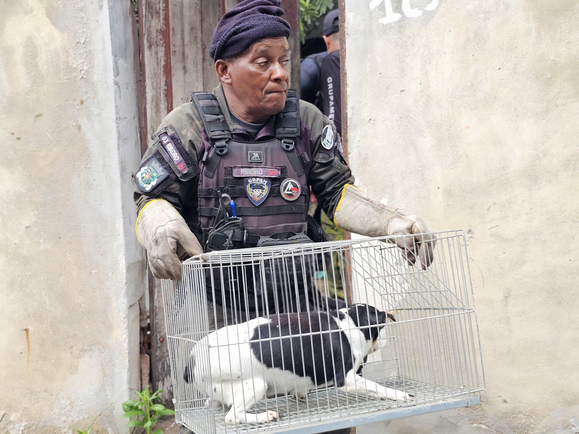 Animais são resgatados em operação contra maus-tratos em Arraial do Cabo; responsável foi preso em flagrante - Divulgação