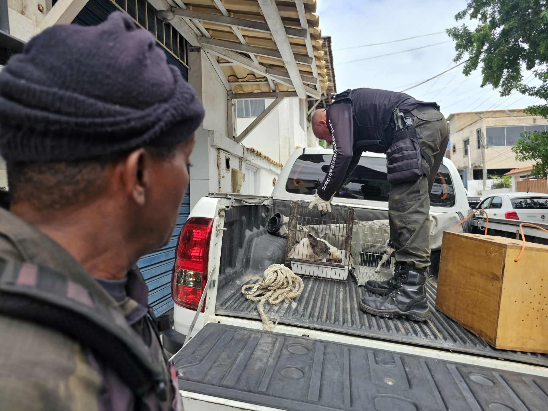 Animais são resgatados em operação contra maus-tratos em Arraial do Cabo; responsável foi preso em flagrante - Divulgação