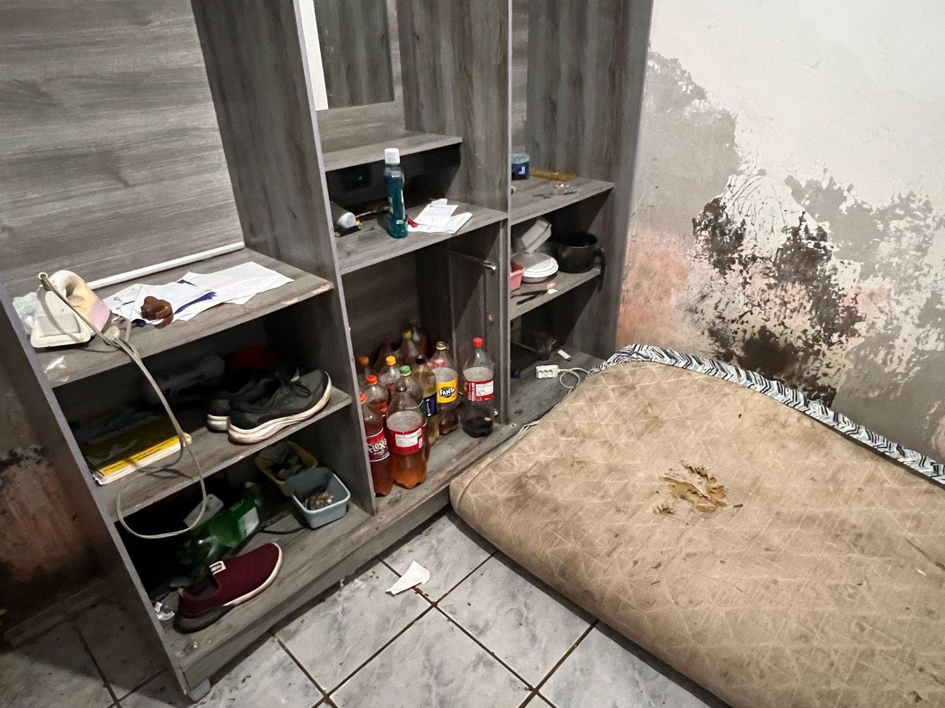 Animais são resgatados em operação contra maus-tratos em Arraial do Cabo; responsável foi preso em flagrante - Divulgação