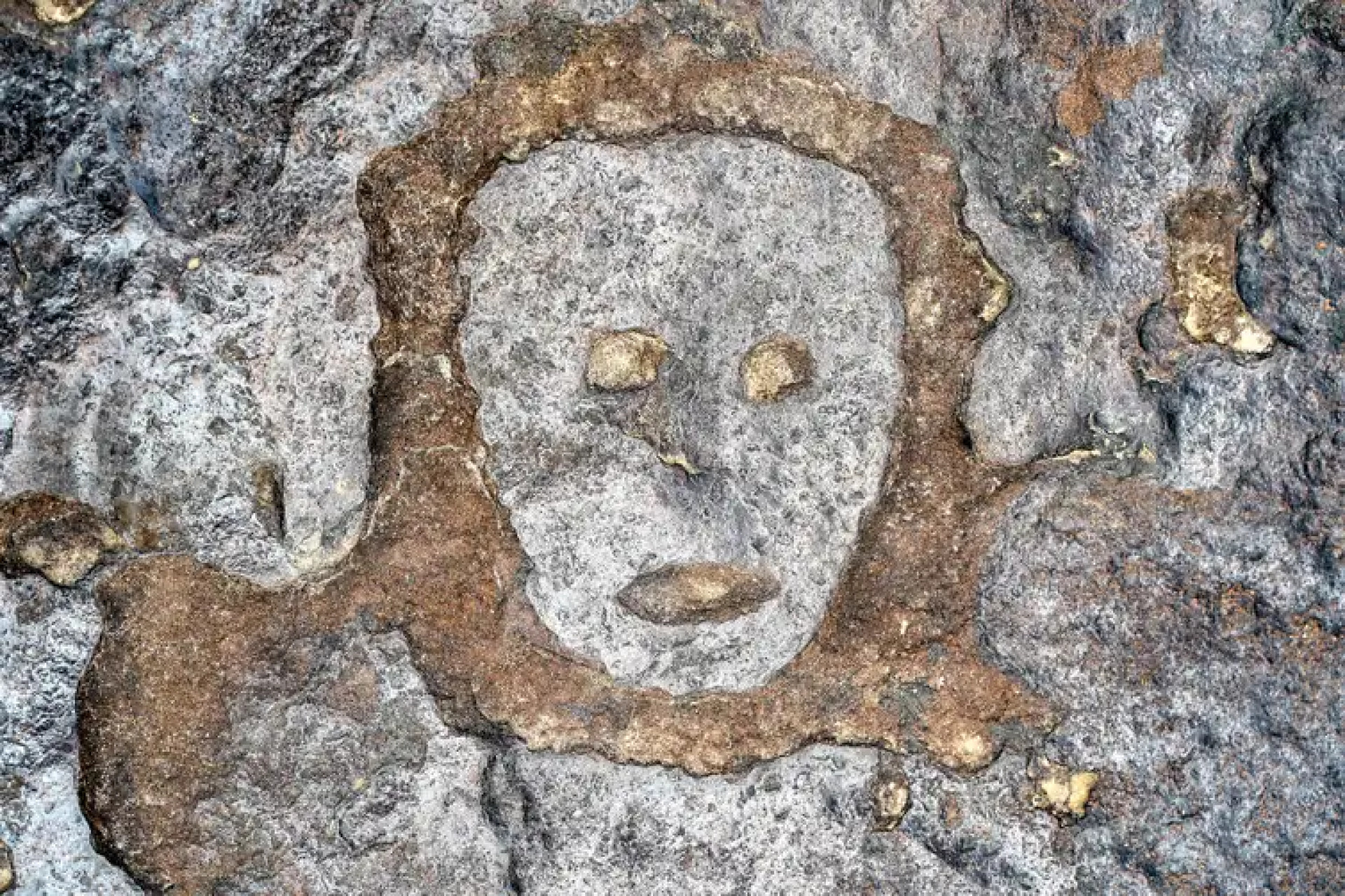 Seca no Amazonas revela esculturas rupestres - Rafa Neddermeyer / Agência Brasil