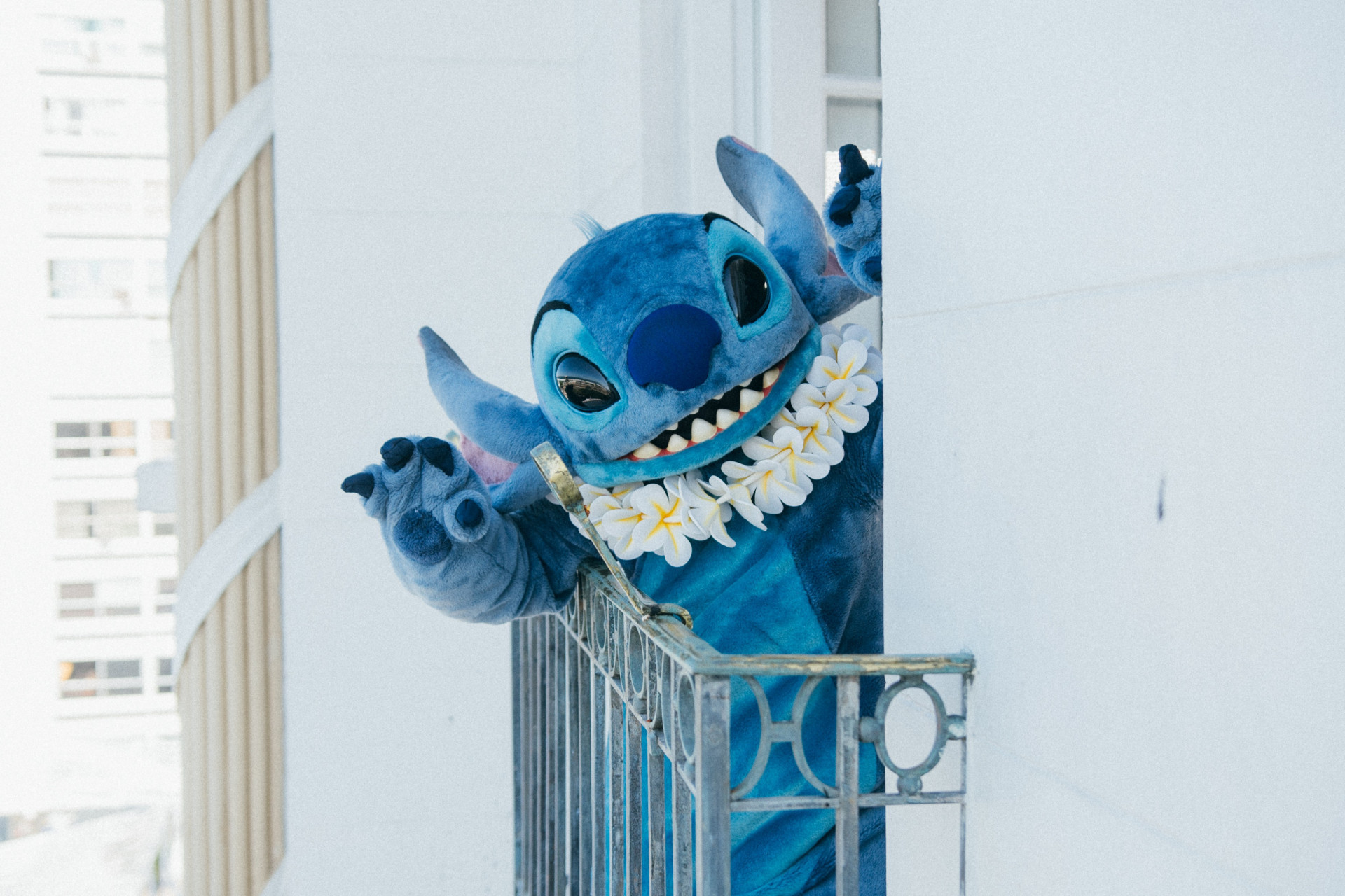 Stitch aparece de surpresa em varanda do Copacabana Palace para fãs da Lady Gaga - Divulgação / @_brunini