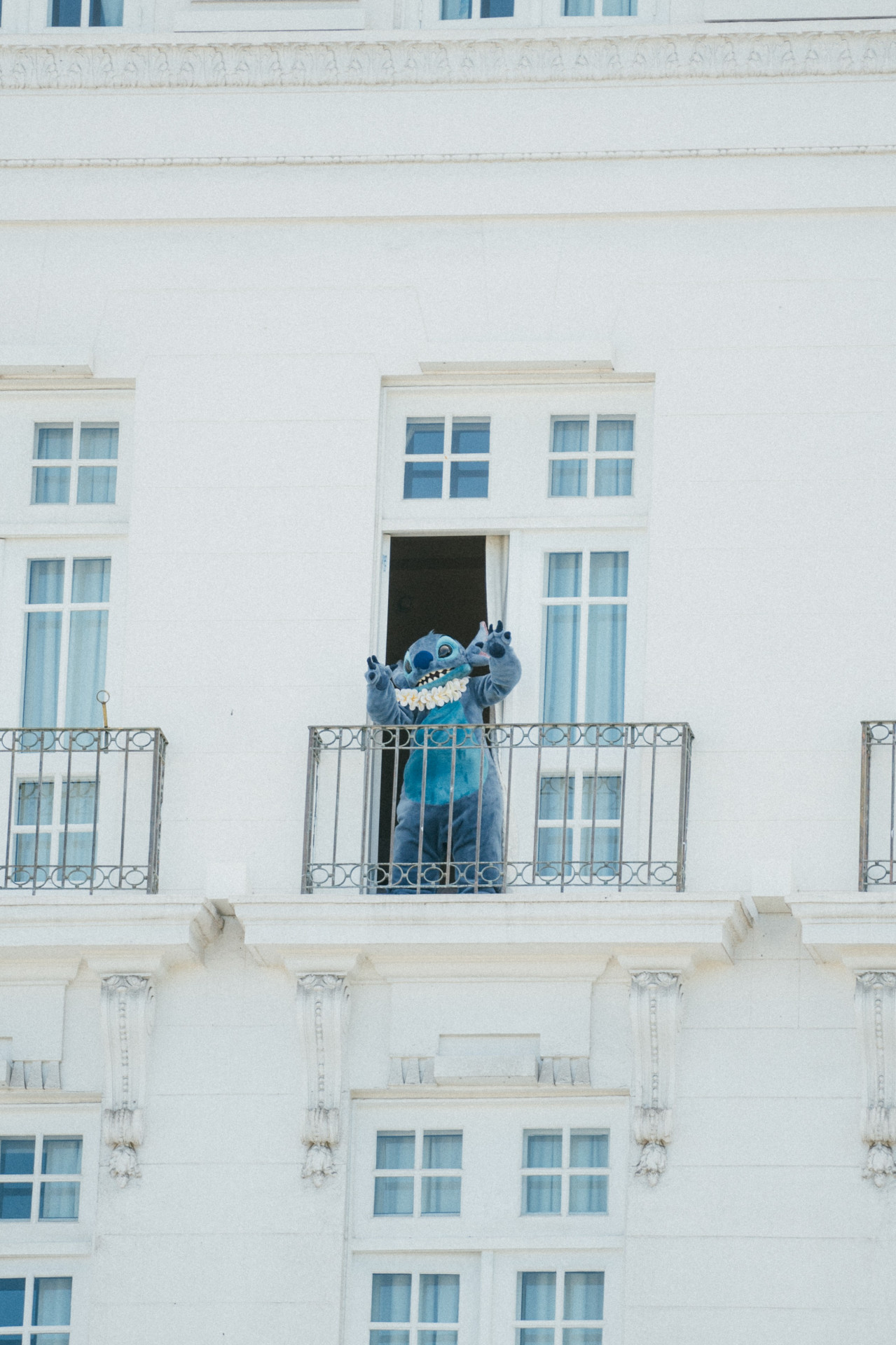 Stitch aparece de surpresa em varanda do Copacabana Palace para fãs da Lady Gaga - Divulgação
